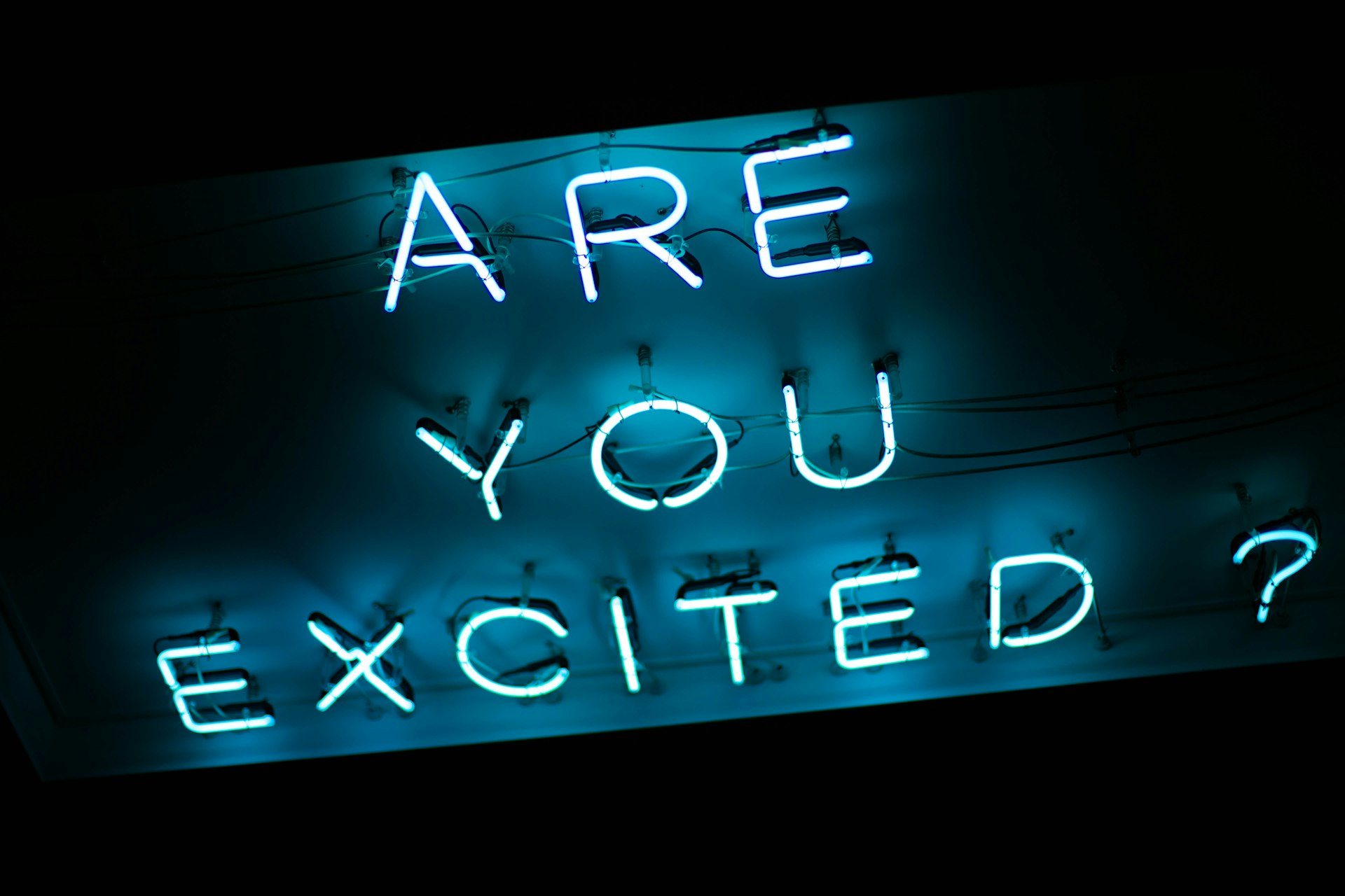 Are you excited